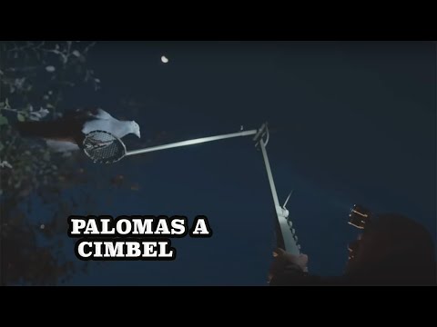 Palomas a cimbel