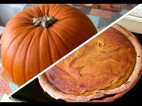 download lagu mp3 mp4 Making Pumpkin Pie From Jack O Lantern, download lagu Making Pumpkin Pie From Jack O Lantern gratis, unduh video klip Making Pumpkin Pie From Jack O Lantern