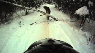 preview picture of video 'Hard Work to Clear & Open Snowmobile Trails - Do you Volunteer?'