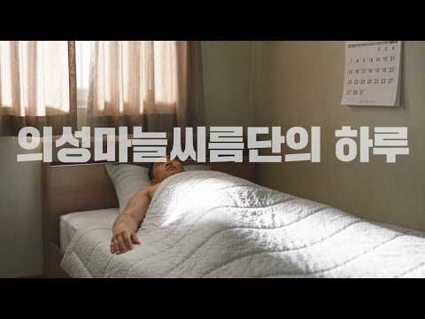 의성마늘 씨름대회 10.31.(토)~11.6.(금)