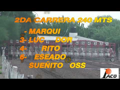 MARQUITO HIPODROMO EL DESCUIDO EL BRETE 20 11 2022