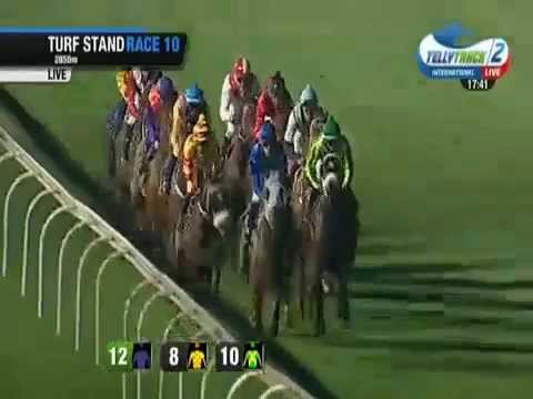 2015.03.28 Caradoc Gold Cup (RSA) - Kingston Mines