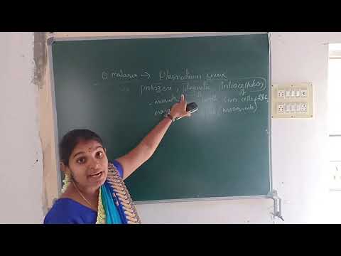 14-11-2020 Biology class