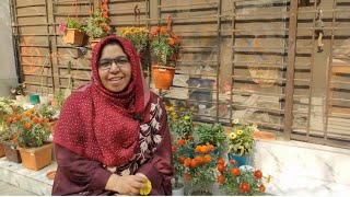 Plastic Surgery Ethics