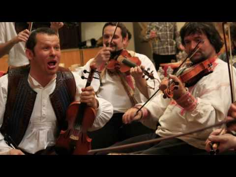 Muzička - Kohuťik jarabi (Šumiac, Horehronie)