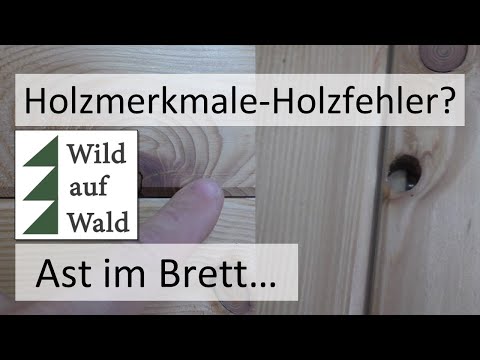 🌲Wertholz: Ast ist nicht gleich Ast?