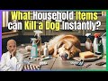 WHAT HOUSEHOLD ITEMS CAN KILL A DOG INSTANTLY