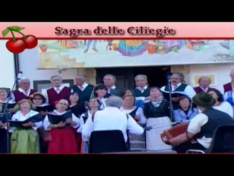 ONDA TG 30.05.2014 - TRENI TURISTICI TRANSITA PER LA SAGRA DELLE CILIEGIE 2014