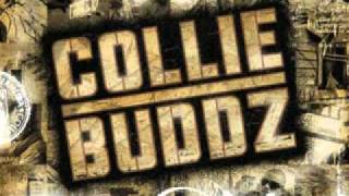 Collie Buddz   Blind To You Haterz
