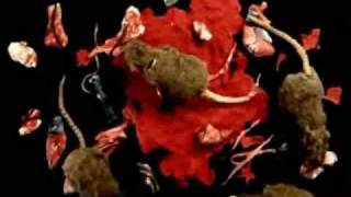 Death Cab for Cutie - &quot;Someday You Will Be Loved&quot; (music video)