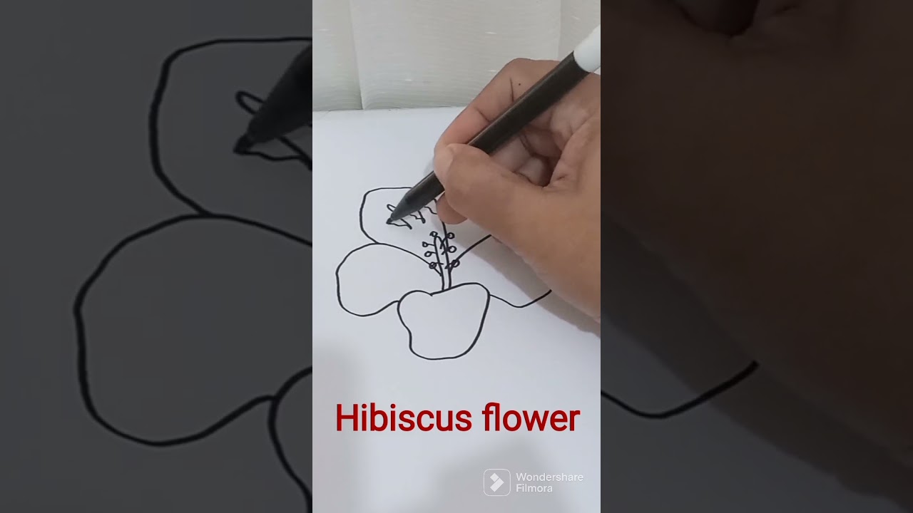 How to draw hibiscus flower #drawing #drawingforbeginners #drawingtutorial #doodles #hibiscus