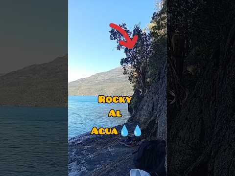 Rocky desafió sus miedos con un salto épico en Lago Puelo 🌊🔥 #Shorts #Patagonia