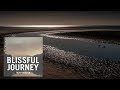 Peter Pearson A Dream In Your Eyes Blissful Journey 2016