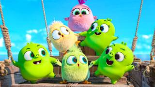 The Hatchlings and Baby Pigs Crazy Adventures 😂 ANGRY BIRDS Cutest Scenes