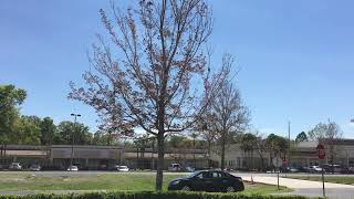 Seminole County Drive Road Test at Casselberry