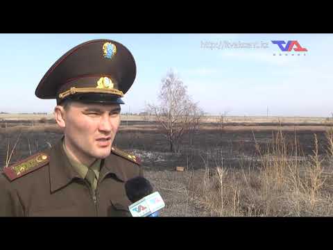 "Официальная хроника" от  25 апреля 2022г.