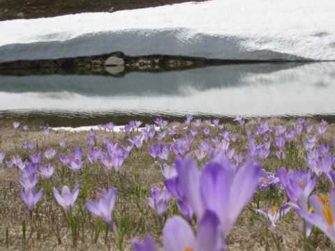 Tizzola... paese mio che stai sulla collina