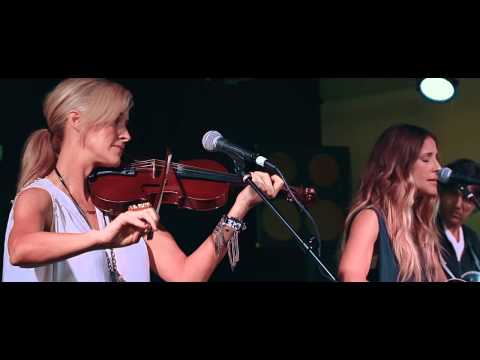 Divided - Court Yard Hounds