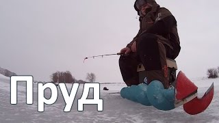 Ловля окуней на прудах зимой