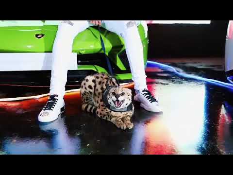 Hedi L'artiste FT Samara - ALLIES