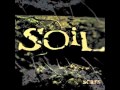 Soil-picture perfect