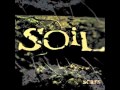 Soil-picture perfect 