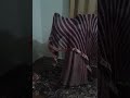 Indian Desi Homemade Dance Kajra Re Kajra Re