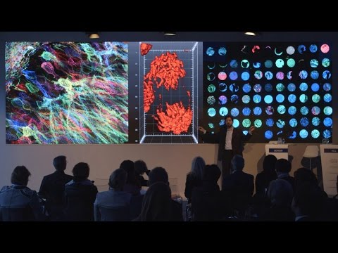 Engineering Revolutions | Edward Boyden