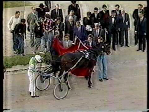 Graf Kalman Hunyady-Gedenkrennen 1987 - Hej Flight