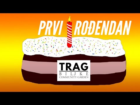 THE FIRST BIRTHDAY TRACE OF THE PLANT - MEMBERS OF THE FIRST ONLINE COMMUNITY TALK