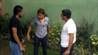 El papa de los pollitos (cortometraje)