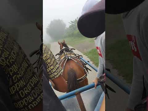 voy d camino a al antigua Sierra Cristal en el municipio Segundo Frente de Santiago d Cuba