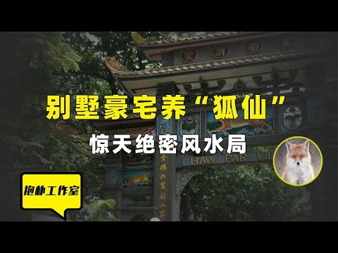 豹 風水