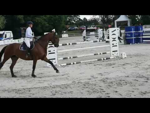 Carissima (Arezzo VDL x Carambole) 2021/06/11 ZO Gałkowo - 120 cm I SPRZEDANA / SOLD