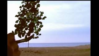 David Sylvian "Nostalgia"