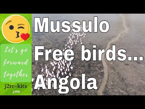 Mussulo Luanda Angola (birds) - One day trip vlog in Angola - Parrot Bebop 2