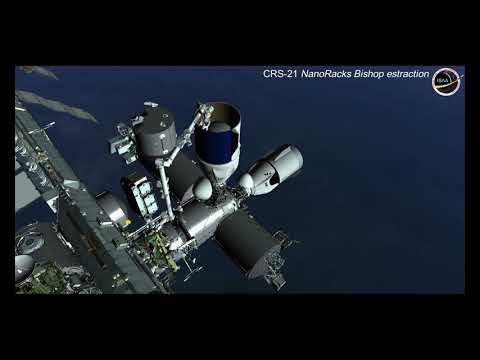 NanoRacks Bishop extraction from CRS 2/SPX21 trunk