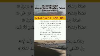 Download lagu Sholawat Tarhim || Seruan Merdu Menjelang Subuh || Zulkarnaen Fadly mp3 Download lagu Sholawat Tarhim || Seruan Merdu Menjelang Subuh || Zulkarnaen Fadly mp3