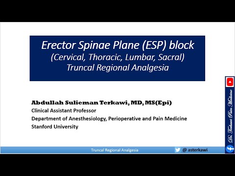 Erector Spinae Plane (ESP) Block