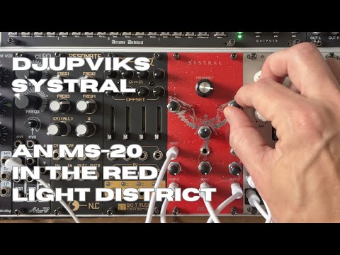 Djupviks Elektronik Systral [DE built] image 2