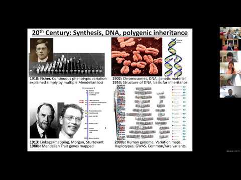 MIT Deep Learning in Genomics - Lecture 16 - Genetics 1: GWAS, Linkage, Fine-Mapping