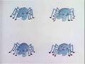 Sesame St 8 Little Spiders