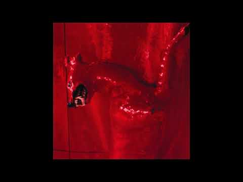 William Basinski - A Red Score In Tile (Full Album)