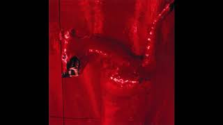 William Basinski - A Red Score In Tile (Full Album)