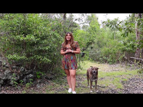 EPA 26% Biomass Energy Tax Credit Explanation – Qualified Products