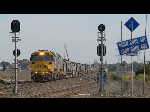 Pacific National 7736V Grain Train At Gheringhap Loop - PoathTV Australian Railways