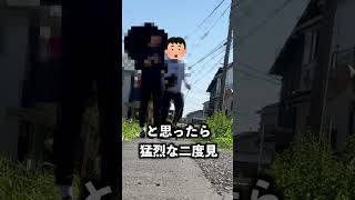 すれ違った犬の色が変わってたら追いかけられた！