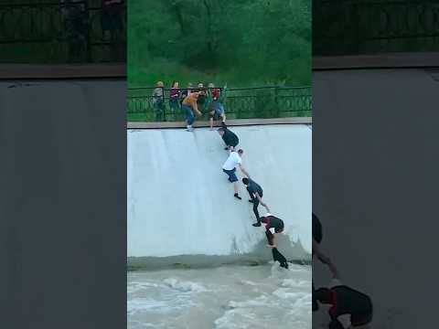 Human Chain Rescues Dog From Raging Dam Waters! 🐶🌊 #shorts #dogrescue #hero