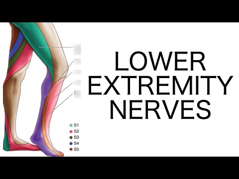 Lower Extremity Nerve Injuries