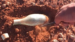 Unusual and Surprising Fossicking Finds, Along The Golden Pipeline…Western Australia